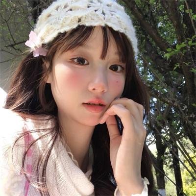 美国派：高潮再起
