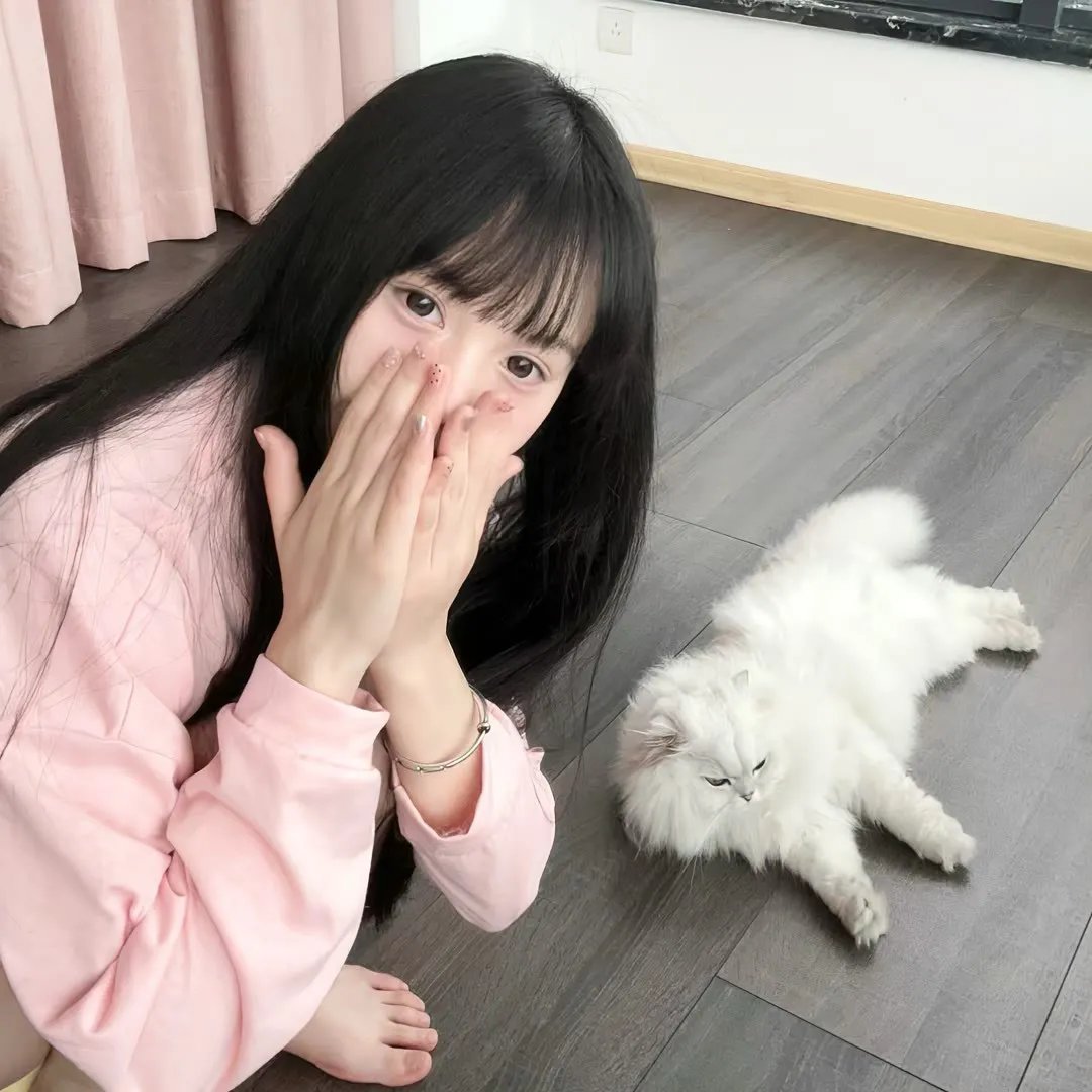 决战燕子门